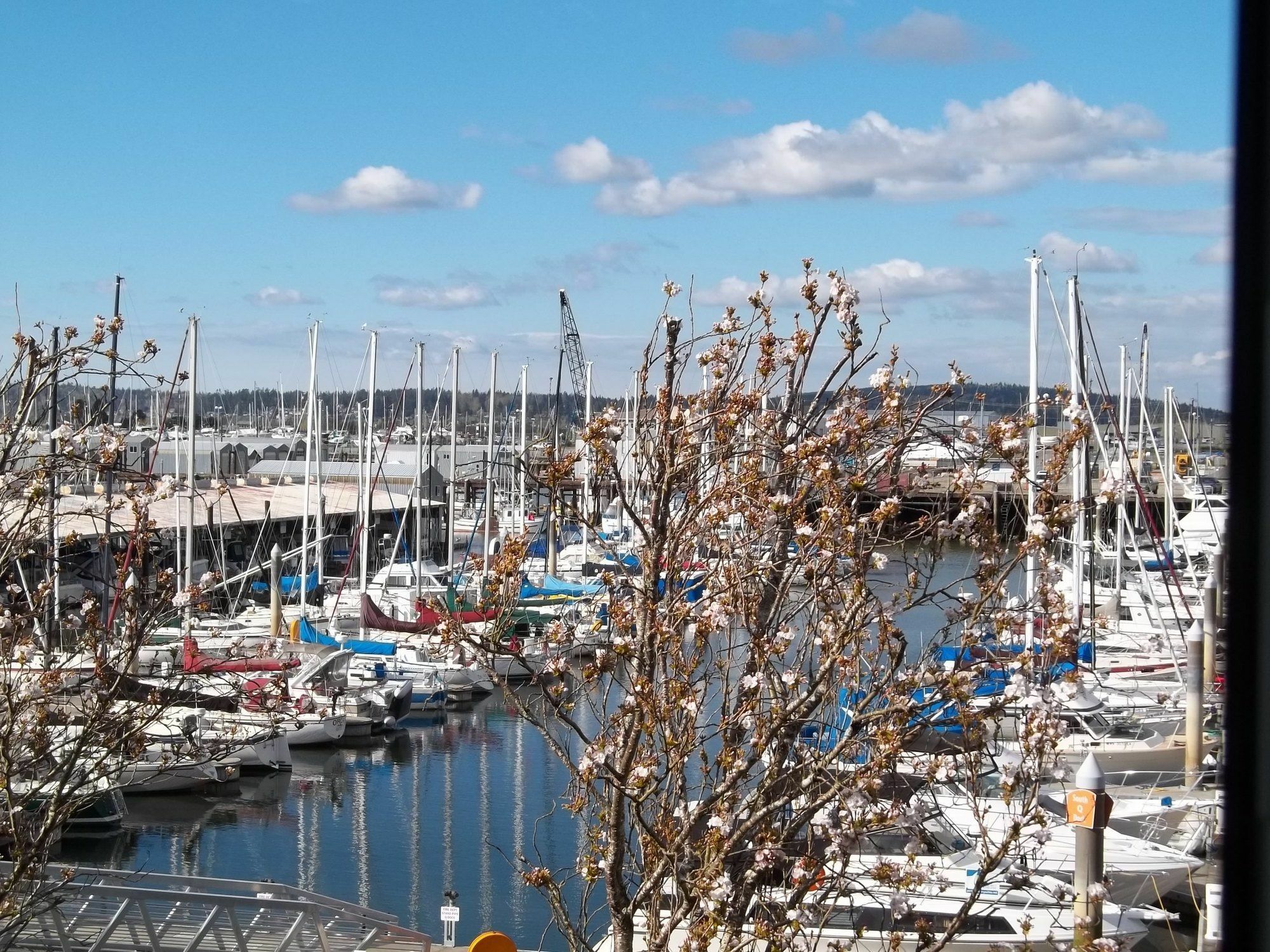 Inn At Port Gardner-Everett Waterfront, Ascend Hotel Collection Eksteriør bilde